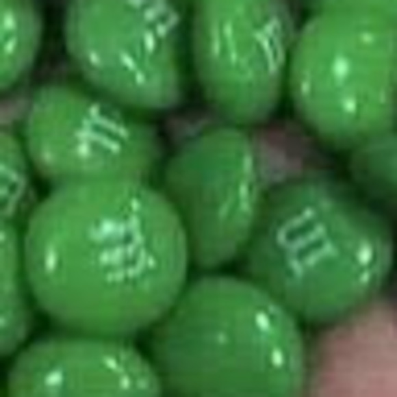 Meet your Posher, Flo - Picture 1 of 1